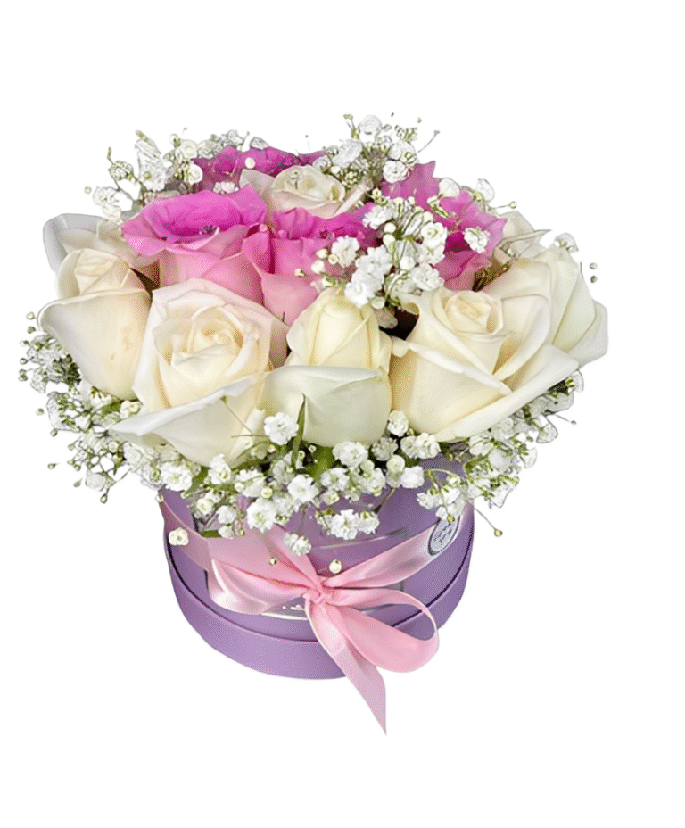 WhatsApp_Image_2025-10-13_at_8.41