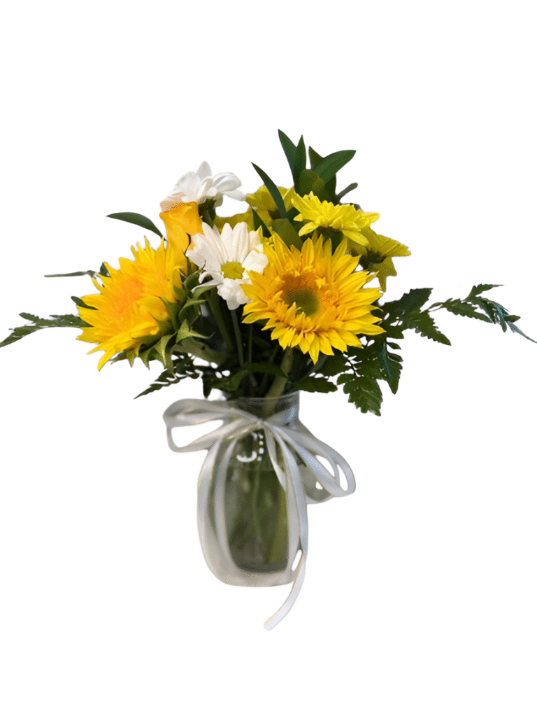 WhatsApp_Image_2025-10-25_at_13,25,30_3ad26bbc-removebg-preview-Picsart-AiImageEnhancer