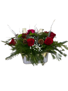 βWinter Evergreen Harmonyβ