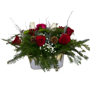 “Winter Evergreen Harmony”